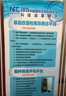 北京科為博生物集團助力中國畜牧生物科技大會，引領生物飼料研發新篇章