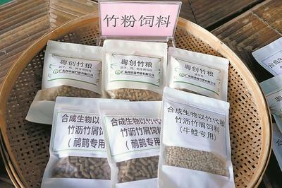 清遠英德西牛鎮 打造“以竹代塑”“以竹代糧”綠色產業，推動生物飼料研發