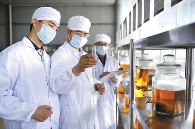 多措并舉用秸稈 變廢為寶獲實惠——生物飼料研發(fā)的綠色實踐與廣闊前景