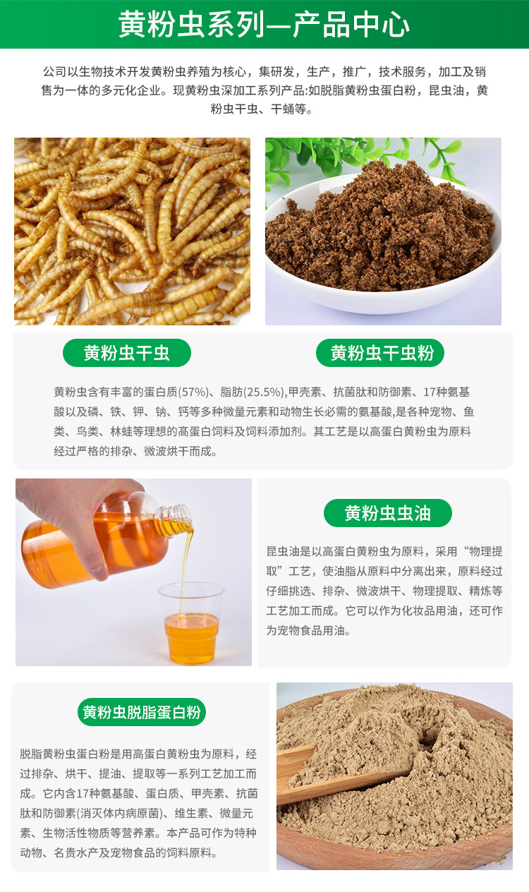 面包蟲干 小身材大營養(yǎng)，一站式全寵物營養(yǎng)解決方案